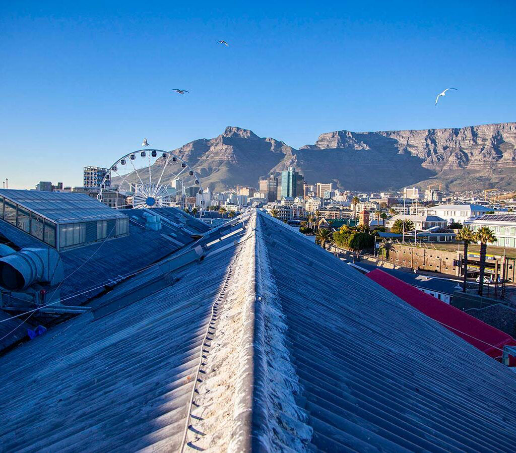 V&A Waterfront asbestos roofing image 2