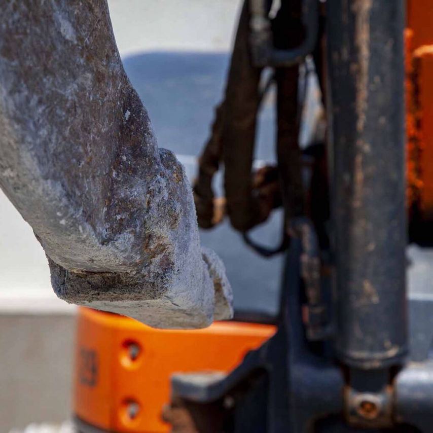 Palm Grove roof safety image